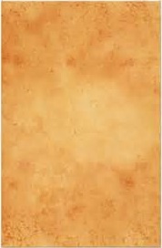 website13.jpg